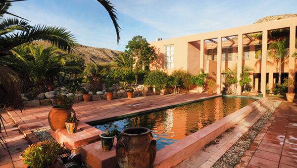 best yoga retreats, yoga holidays in the sun, vegan wellness