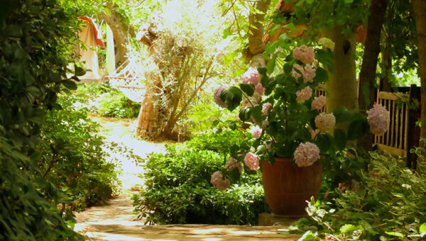 vegan holidays abroad, huzur vadisi yoga retreat turkey, health retreats europe