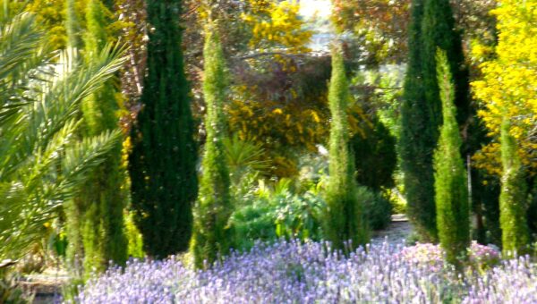 best yoga retreats, yoga almeria, huzur vadisi yoga