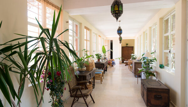 yoga holidays abroad, vegan meditation retreat, yoga almeria