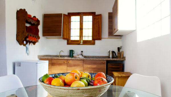 vegan wellness, vegetarian yoga retreat, yoga almeria