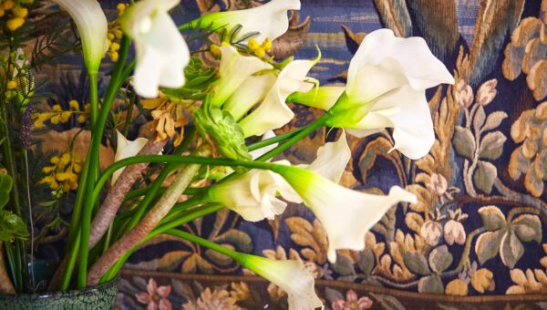 vegan wellness, spiritual retreat, best yoga retreats
