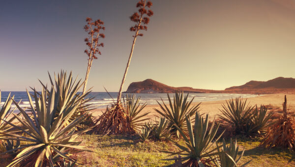 yoga holidays in the sun, spiritual retreat, best yoga retreats