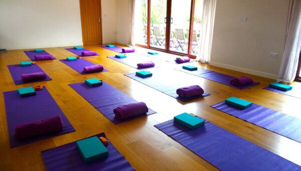 yoga holidays wales, vegetarian yoga retreat, health retreat uk