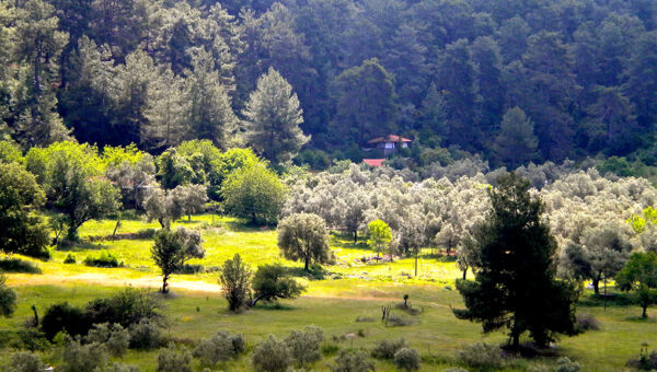wellbeing holidays, luxury yoga retreats, yoga retreat europe