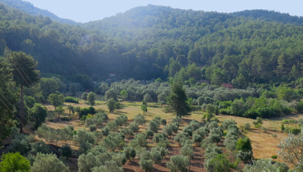 yoga holidays turkey, meditation retreat, spiritual retreat