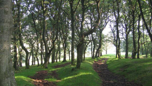 yoga holidays uk, best yoga retreats, luxury yoga retreats